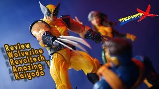 Review Wolverine Revoltech Amazing Yamaguchi Kaiyodo Marvel Action Figure Revision Español [upl. by Pansie50]