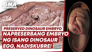 Preserved dinosaur embryo discovered  GMA News Feed [upl. by Airemahs570]