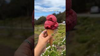 Fresh berry sorbet at a berry farm🥰🍓 [upl. by Joachim]