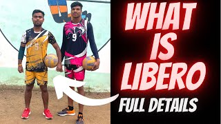 What Is LIBERO Full Information [upl. by Issim806]