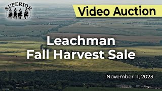 Leachman Cattle Fall Harvest Sale [upl. by Slerahc628]