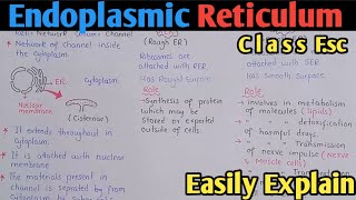 Endoplasmic Reticulum Structure And Functions  Class 11 Biology [upl. by Devol37]