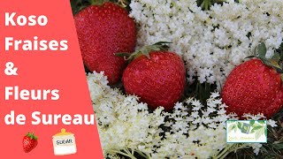 Koso Fraises amp Fleurs de Sureau  Recette dun sirop cru [upl. by Rengaw]