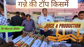 Top Sugarcane varieties for Haryana Punjab [upl. by Allmon524]