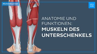 Unterschenkelmuskeln Anatomie und Funktion einfach erklärt  Kenhub [upl. by Hsak837]