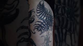 blackwork Centipede tattoo on leg istanbul brockkaw shorts shortfeed tattooartists tattoovlog [upl. by Lole]