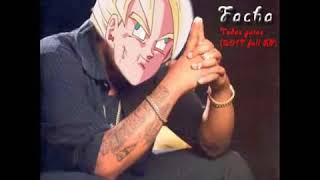 El Facha  Son todas re putas DJ Facha mix [upl. by Netniuq706]