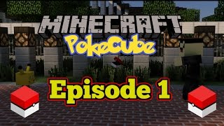 PokeCraft  PokeCube Journey  Lets Play Episode 1 New Start [upl. by Piero495]