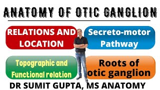 OTIC GANGLION  Anatomy  Roots  Secretomotor pathway [upl. by Airdnat163]