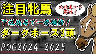 【POG20242025注目牝馬】桜花賞3着馬と似た配合のキズナ産駒がノースヒルズに！？一発期待のダークホース3頭を紹介！【バーチャルサラブレッド・リュウタロウ】 [upl. by Htebazila]