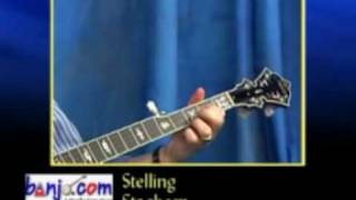 Banjocom video demo of a new Stelling Staghorn 5 String Banjo [upl. by Urbano613]