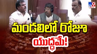 మండలిలో రోజూ యుద్ధమే  YCP Vs TDP  AP Legislative Council Sessions 2024  TV9 [upl. by Nananne]