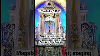 1 Tesalonica 51617 Ang Salita ng Diyos salamat sa Diyosshortsvideo shorts prayer [upl. by Hillell]