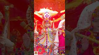 Hanuman Ji Ke New Bhajan Kirtan  Veer Hanuman Ati Balwana hanuman viralvideo shorts short [upl. by Wasserman]