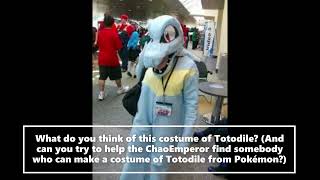 What Do You Think Of This Totodile Costume From Pokemon Gold and Silver [upl. by Enneyehc666]