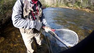 Chattooga River Fly Fishing 2015 [upl. by Neerbas479]