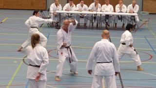 Proefexamen Shotokan 4e platform April 2017 [upl. by Rafferty]