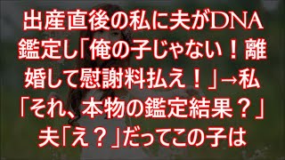 出産直後の私に夫がDNA鑑定し「俺の子じゃない！離婚して慰謝料払え！」→私「それ、本物の鑑定結果？」夫「え？」だってこの子は [upl. by Pantia91]