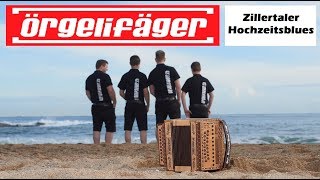 Örgelifäger  Zillertaler Hochzeitsblues Schwyzerörgeli  Cover LiveVersion [upl. by Hgielsa544]