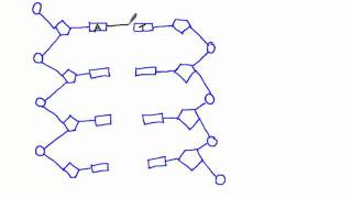 335 Draw a simple diagram of DNA structure [upl. by Ekusuy]