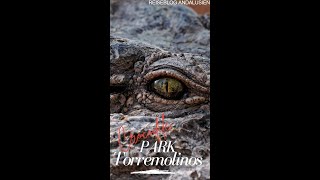 Travel Vlog Andalusia Crocodile Park in Torremolinos Part 3 [upl. by Atarman]