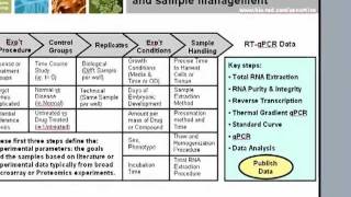 Application of MIQE Guidelines to qPCR [upl. by Katerina]