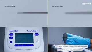 Micromanipulation Tips amp Tricks Optimize the Use of Your TransferMan® 4  InjectMan® 4 [upl. by Manoff]