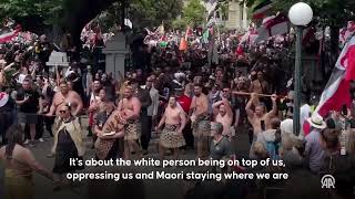 Maoris fight to withdraw bill that proposes changes to Treaty of Waitangi [upl. by Lawrence]