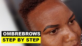 How To Do OMBRE BROWS FULL PROCEDURE [upl. by Nawad]