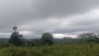 4 Acres of Agriculture Land for sale in Sakleshpur [upl. by Skell]