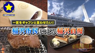 【稲沢市 VS 一宮市】一宮をギャフンと言わせたい！稲沢市民による稲沢自慢【愛知あたりまえ】 [upl. by Jodie]