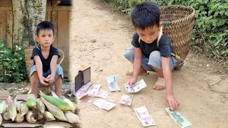 Harvesting corn to sellpick up money to pay the person who dropped it [upl. by Nadoj]