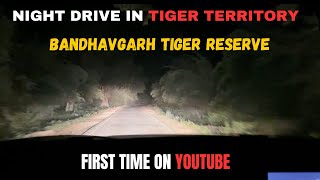 Bandhavgarh Tiger Reserve  Night Safari  Night drive in jungle  Full Uncut video [upl. by Caundra]