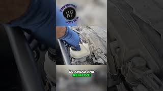 Mastering Brake Fluid Quick Tips for Your Vehicle Service brakefluid short shorts [upl. by Eemla236]