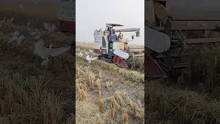 GAM 88 Model Machine New harvester indgalamaryt1k shorts shortvideo trending harvester 💯💪 [upl. by Sherri]