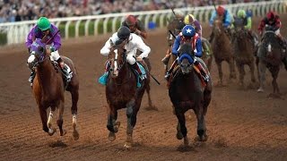 2014 Breeders Cup Classic  Post Race [upl. by Amaty]