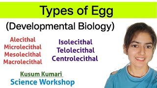 Types of Egg  Developmental Biology  Bsc 2nd semester  By kusum  Science Workshop [upl. by Ynamad943]