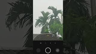 Realme 8 4G 59X Zoom Test Video 📷📸 [upl. by Nemzaj]