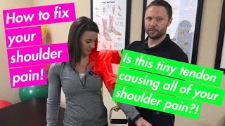 Shoulder Pain Fix For Bicep Tendon FAST  Chiropractor Friendswood [upl. by Ylle967]