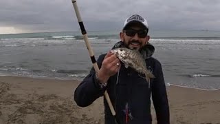 MORMORE si torna a surfcasting [upl. by Templa]