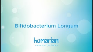 Bifidobacterium Longum [upl. by Fernanda]