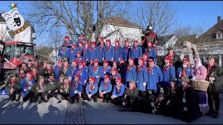 Narrenbaumstellen durch die Zunftgesellen der Poppele Zunft Singen 2712024 Narrentage Gottmadingen [upl. by Annahsad]