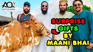 3 NEW ENTRIES 😍 SURPRISE GIFTS by Maani Bhai for AQ Cattle Farm  Cattle Market Karachi [upl. by Quick]