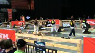 nz vs aus waikato woodchopping [upl. by Thevenot]