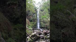 Erskine Falls Majestic Waterfall Adventure in Victorias Otway Ranges [upl. by Alexio369]