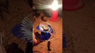 Poultry farming Mein fan ki kya avashyakta hoti hai [upl. by Simmonds]