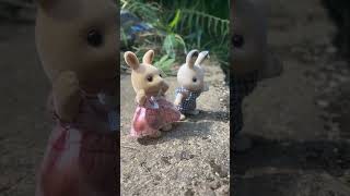 Sylvanian Family affair skit sylvanianfamily calicocritters skit fypシ゚viralシ2023fyp [upl. by Stodder]