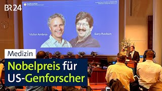 Medizin Nobelpreis für USGenforscher  BR24 [upl. by Ratcliff]