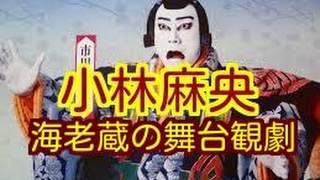 朗報小林麻央 夫・市川海老蔵の舞台観劇…がん公表後初。 [upl. by Ikkim]