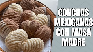 Receta de conchas con masa madre panmexicano masamadre sourdough [upl. by Ogilvy330]